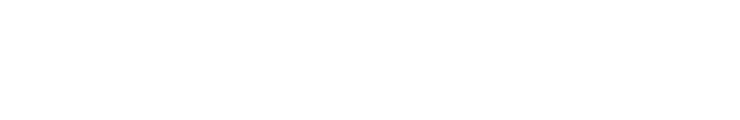 FUTURE FRAME